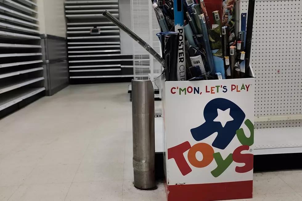 We Will Always Be Toys R Us Kids