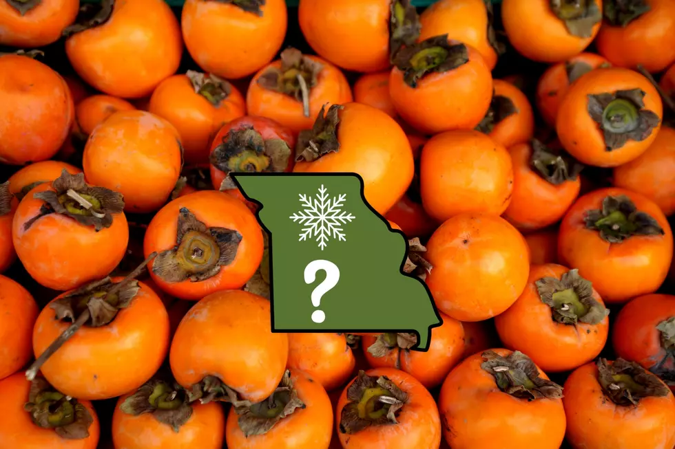 This Fruit is Predicting Missouri Gets Hammered with Lots of Snow