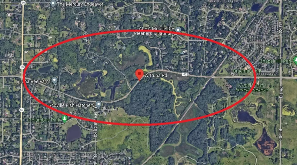 Google Maps Satellite View