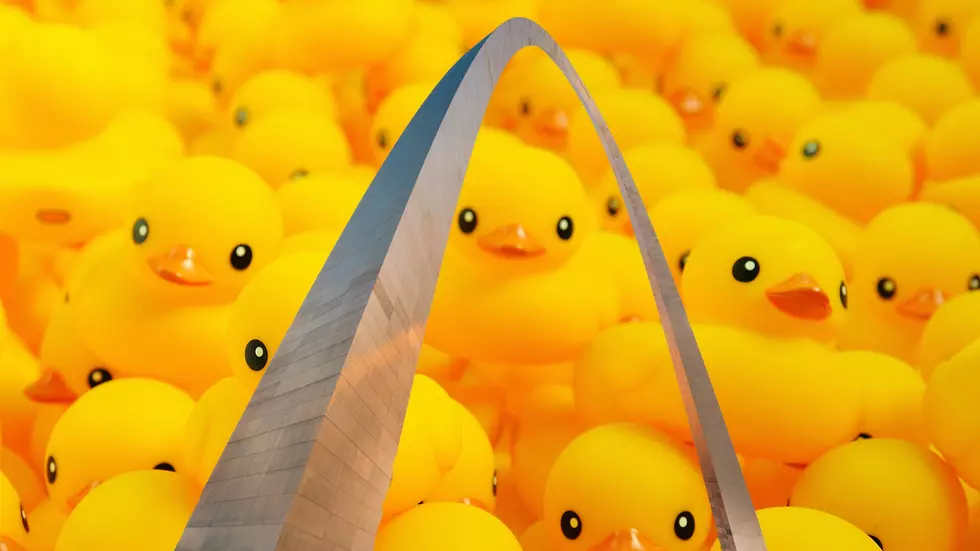 50 Ducks Hidden in St. Louis, Missouri – Each Worth a ‘Fortune’?