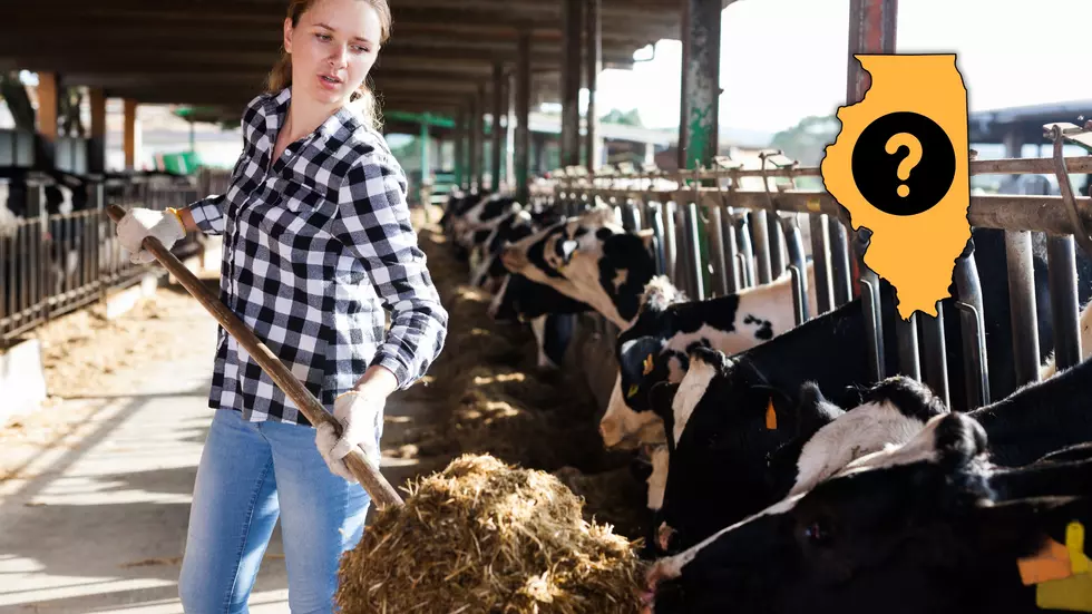 Are Illinois Farm Women at Their Breaking Point? Report Says Yes