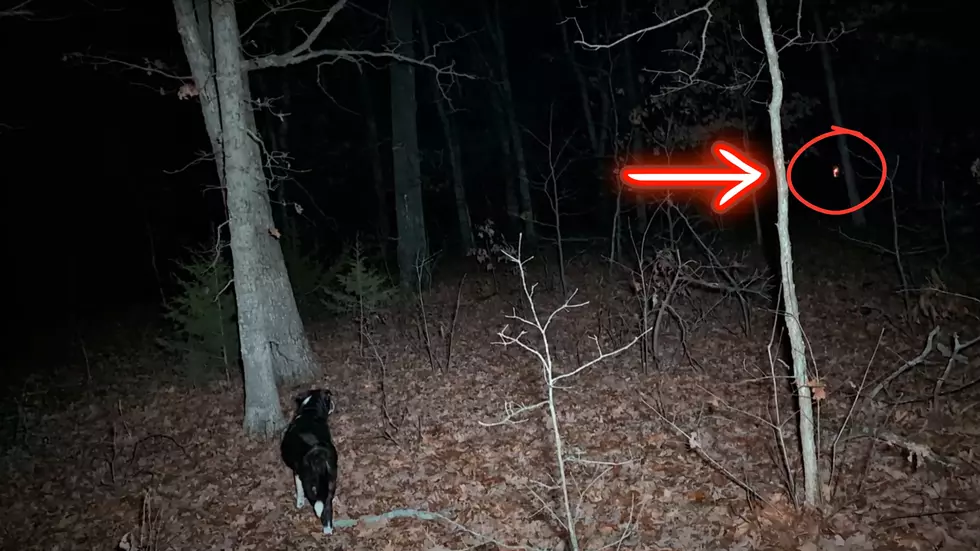 Video Proof of Skinwalkers Deep in the Missouri Backwoods?