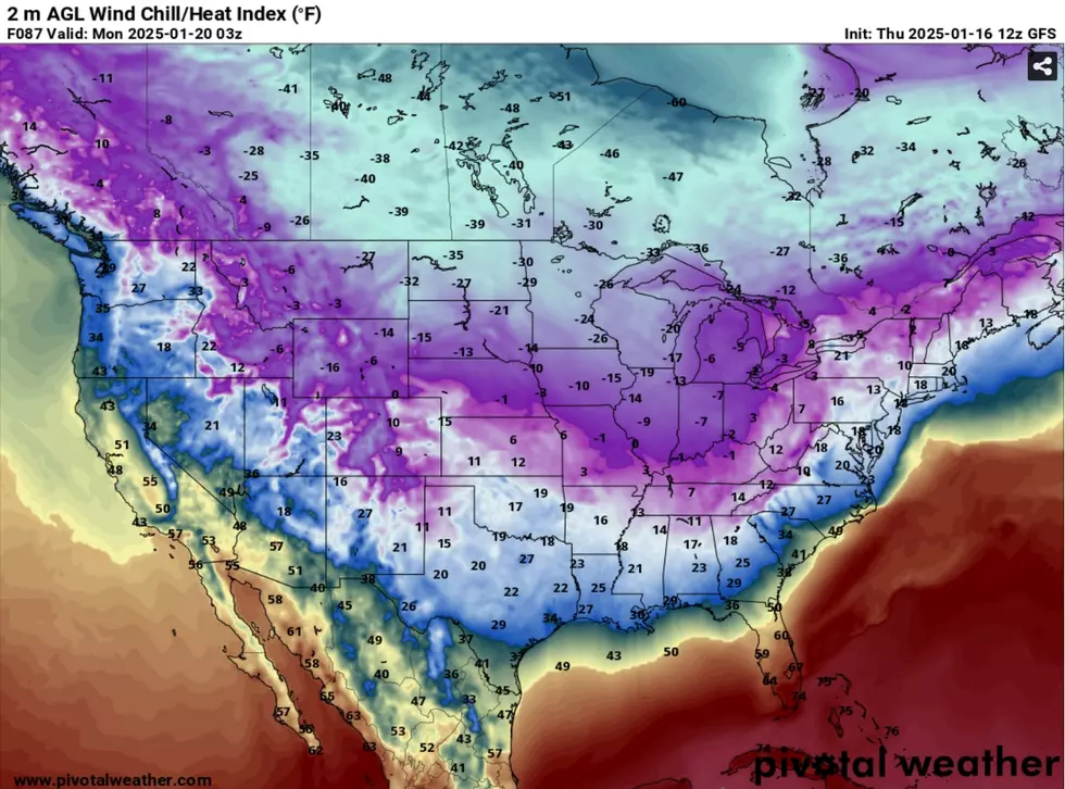 Infographic, Pivotal Weather