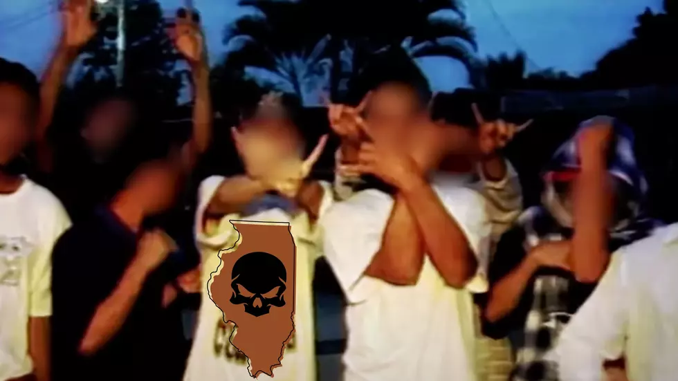 America’s Most Dangerous Gang Now Has a Presence in Illinois